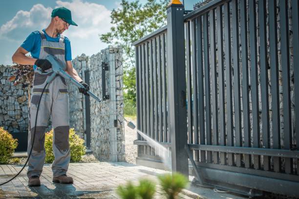 Best Rust Removal  in Inglewood, CA
