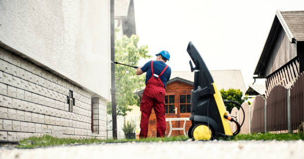 Best Graffiti Removal  in Inglewood, CA